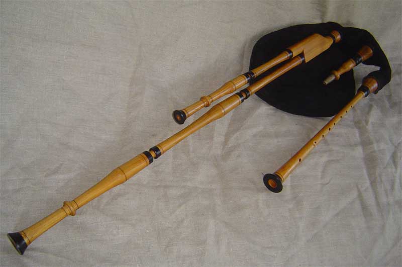 Herdepipa